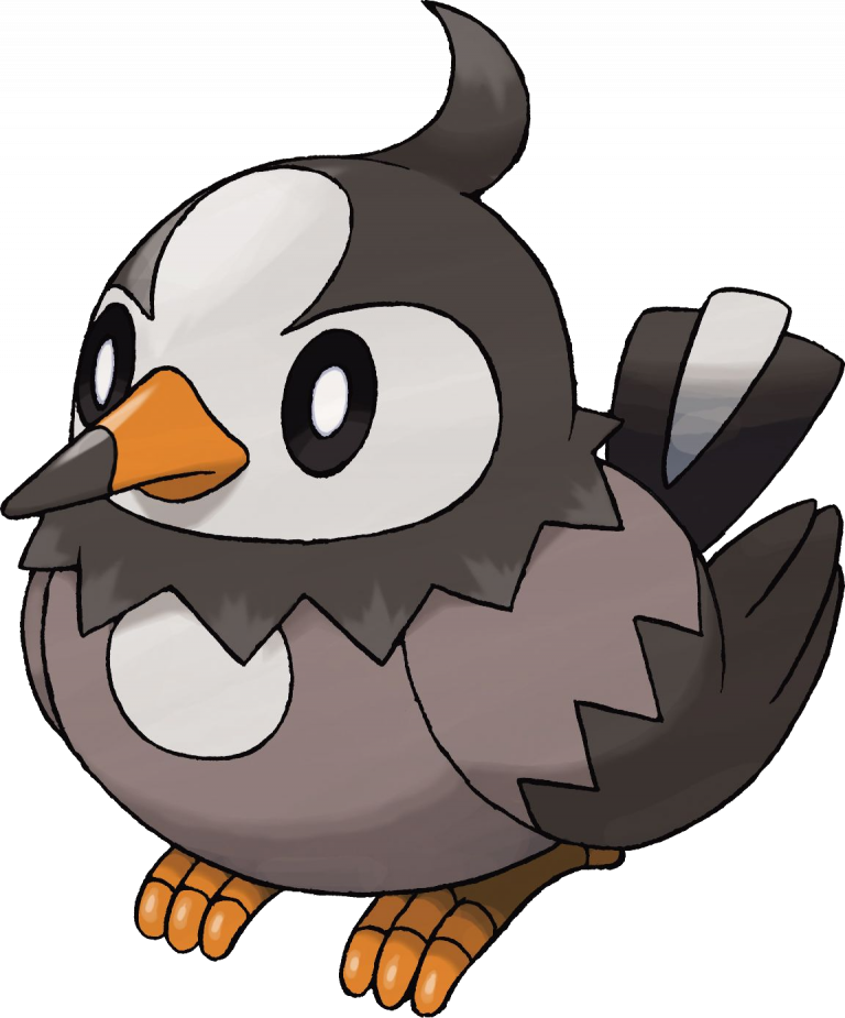 starly coloring page high quality pokemon