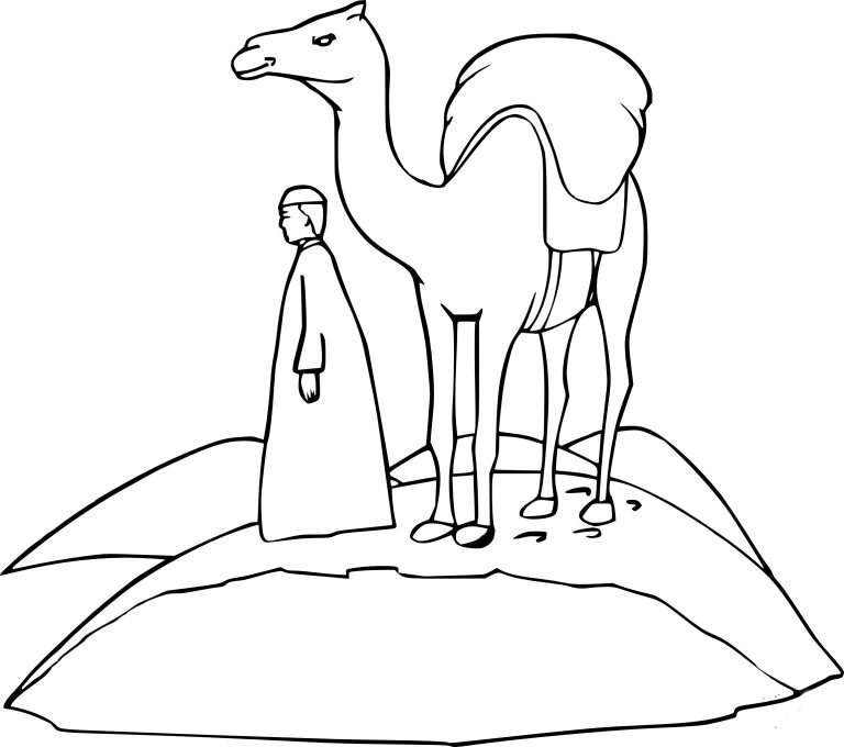 Desert Camel coloring page - free printable coloring pages on coloori.com