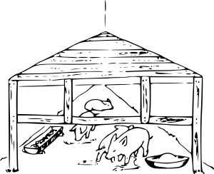 Pigsty coloring page - free printable coloring pages on coloori.com