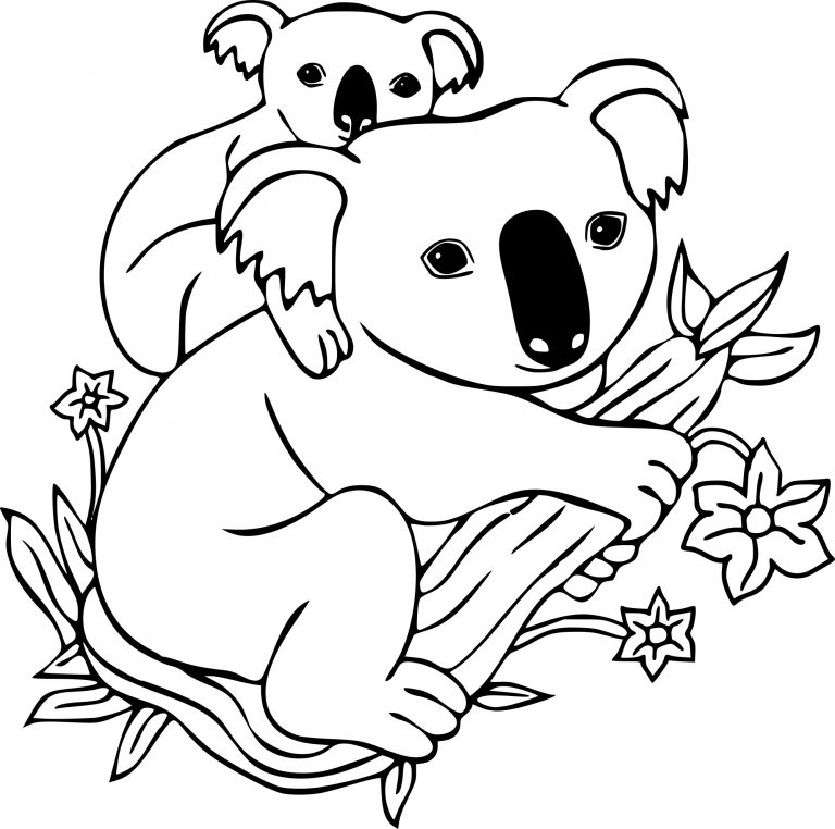 Koala drawing and coloring page - free printable coloring pages on ...