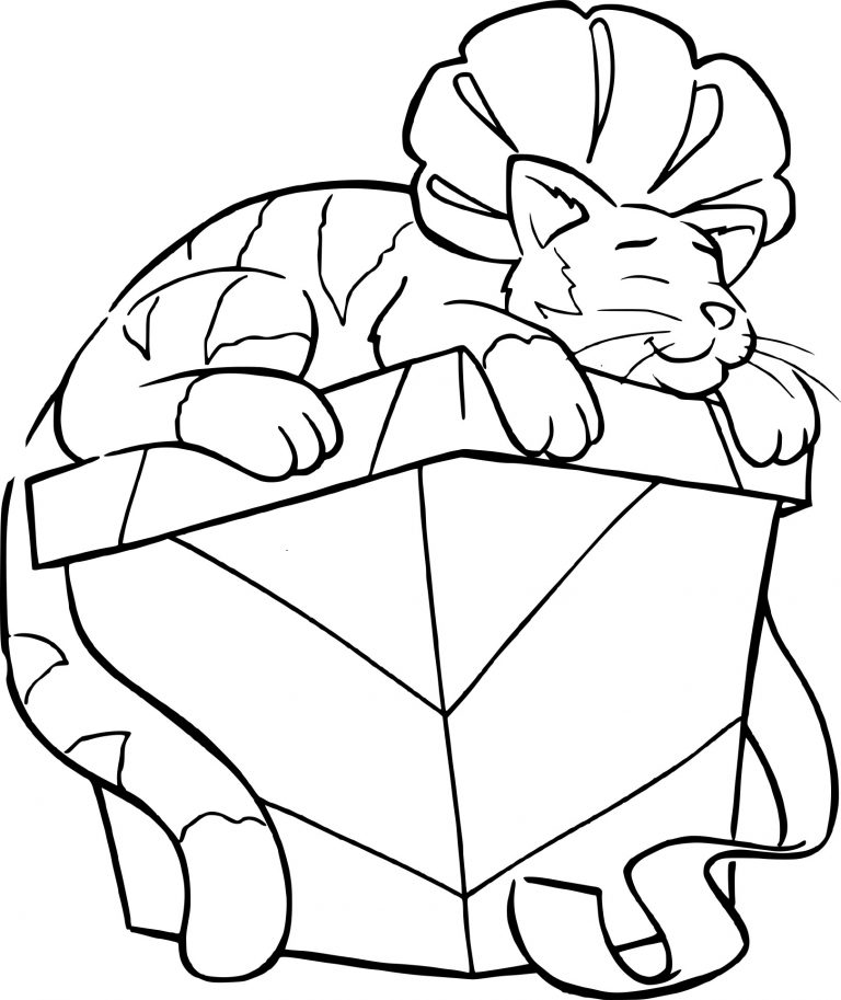 Cat Sleeping On A Christmas Present coloring page - free printable