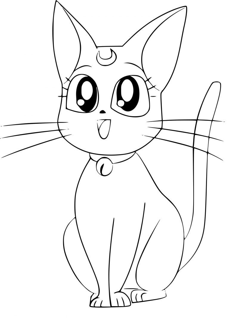 Раскраска кот аниме