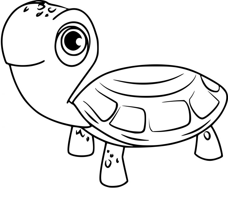 Paw Patrol Turtle coloring page - free printable coloring pages on ...